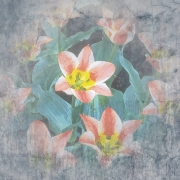 Floral 1